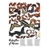 Maine Butterflies Chart (Print Only) thumbnail