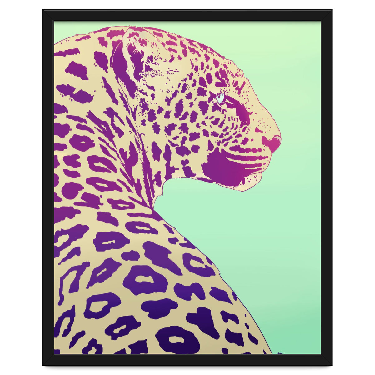 Leopard Under The Sun