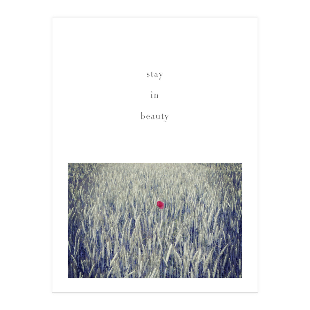 stay in nature (Print Only)