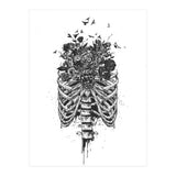 New Life Bw (Print Only) thumbnail