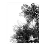 The Tree Top I (Print Only) thumbnail