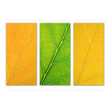 Autumn Leaves (Print Only) thumbnail
