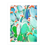 Painted Cactus (Print Only) thumbnail