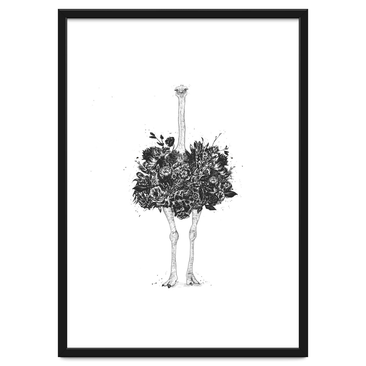 Floral Ostrich