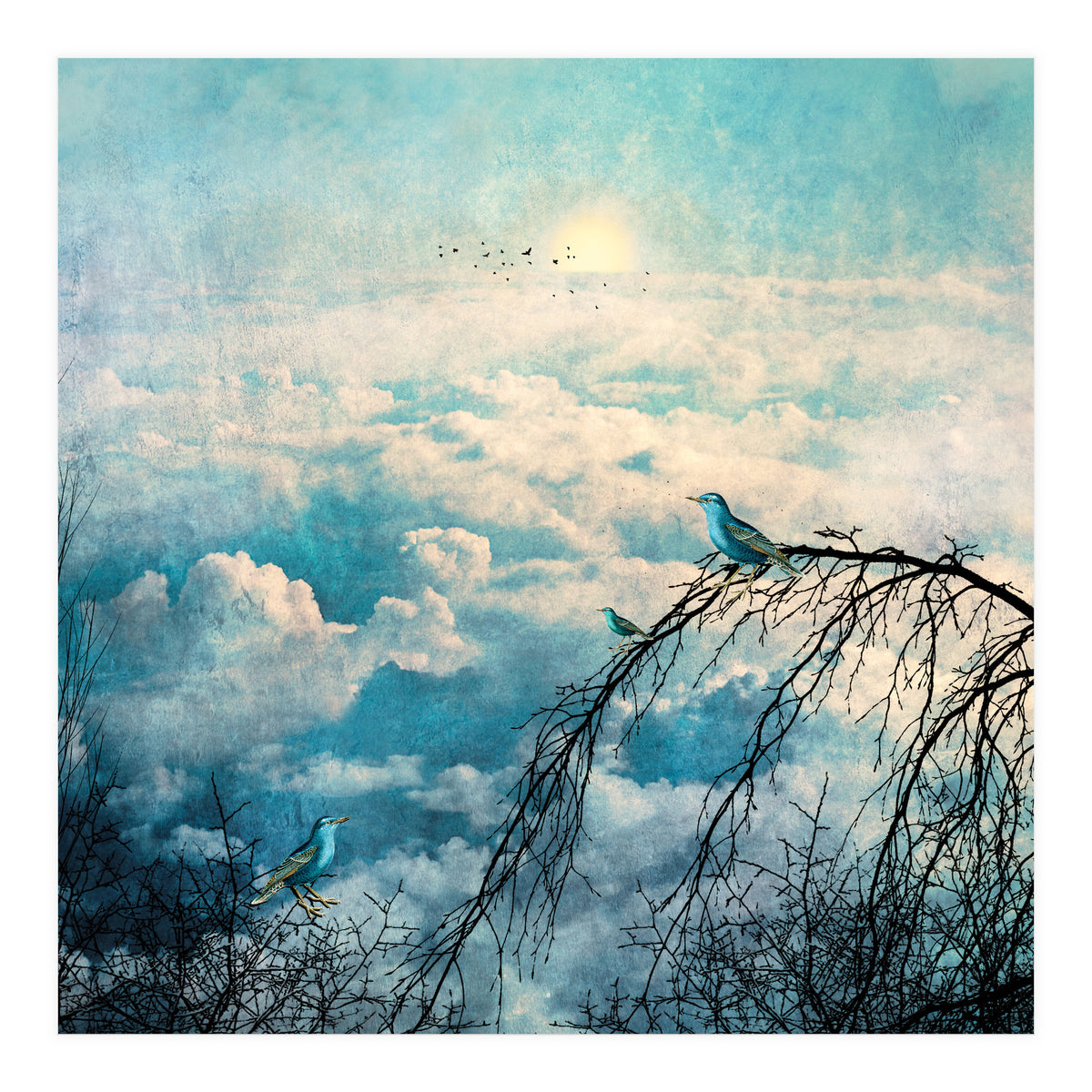 HEAVENLY BIRDS III-B4 (Print Only)