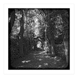 Alley to a cemetery (Print Only) thumbnail