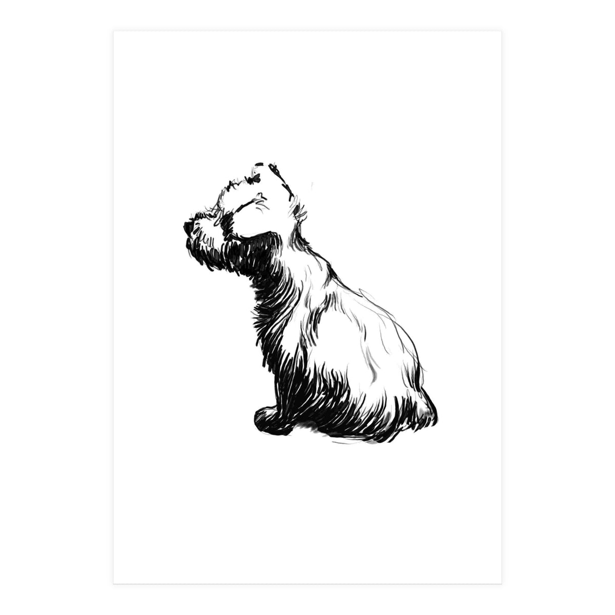 Little Dog (Print Only)