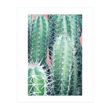 Cactus Up Close (Print Only) thumbnail