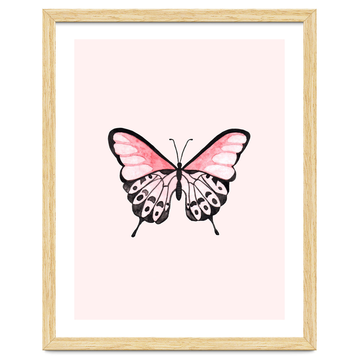Pink Butterfly