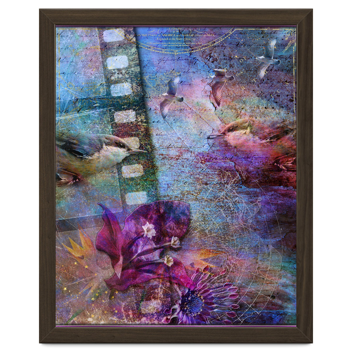 Watching the Wild World