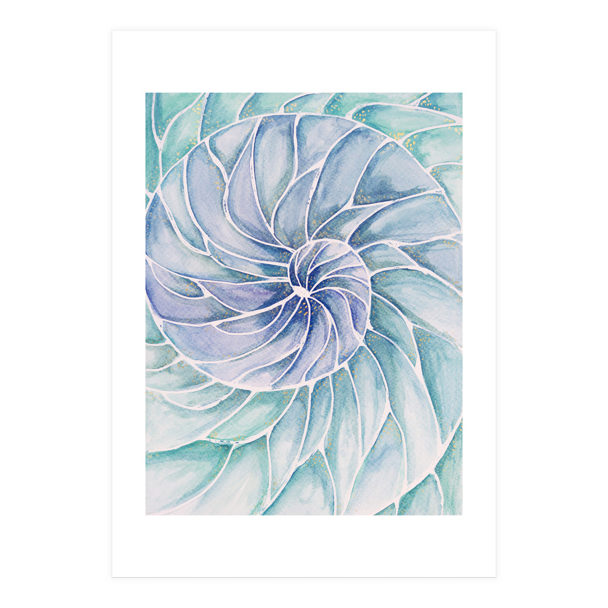 The inside of a shell (Print Only)