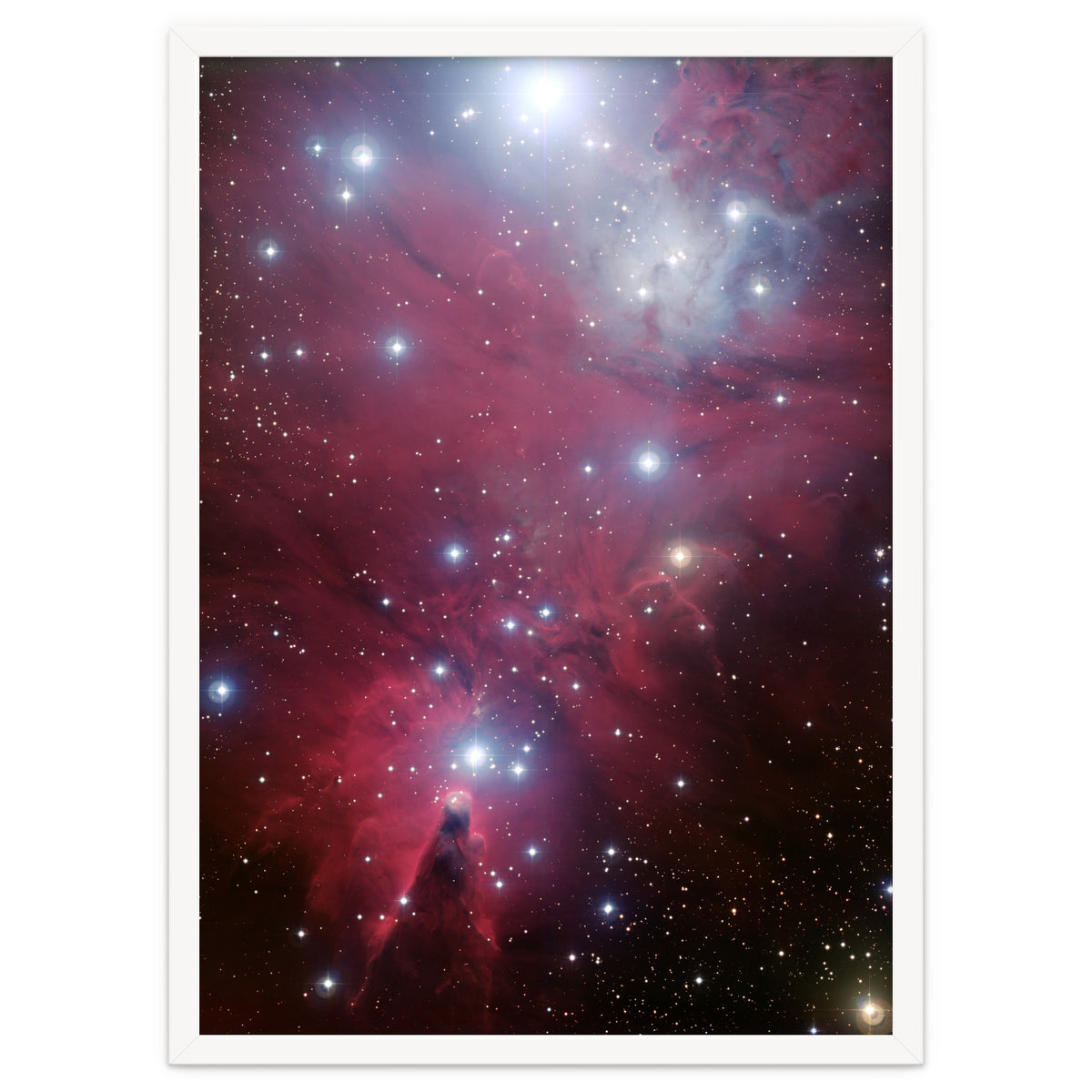 The Christmas Tree Cluster