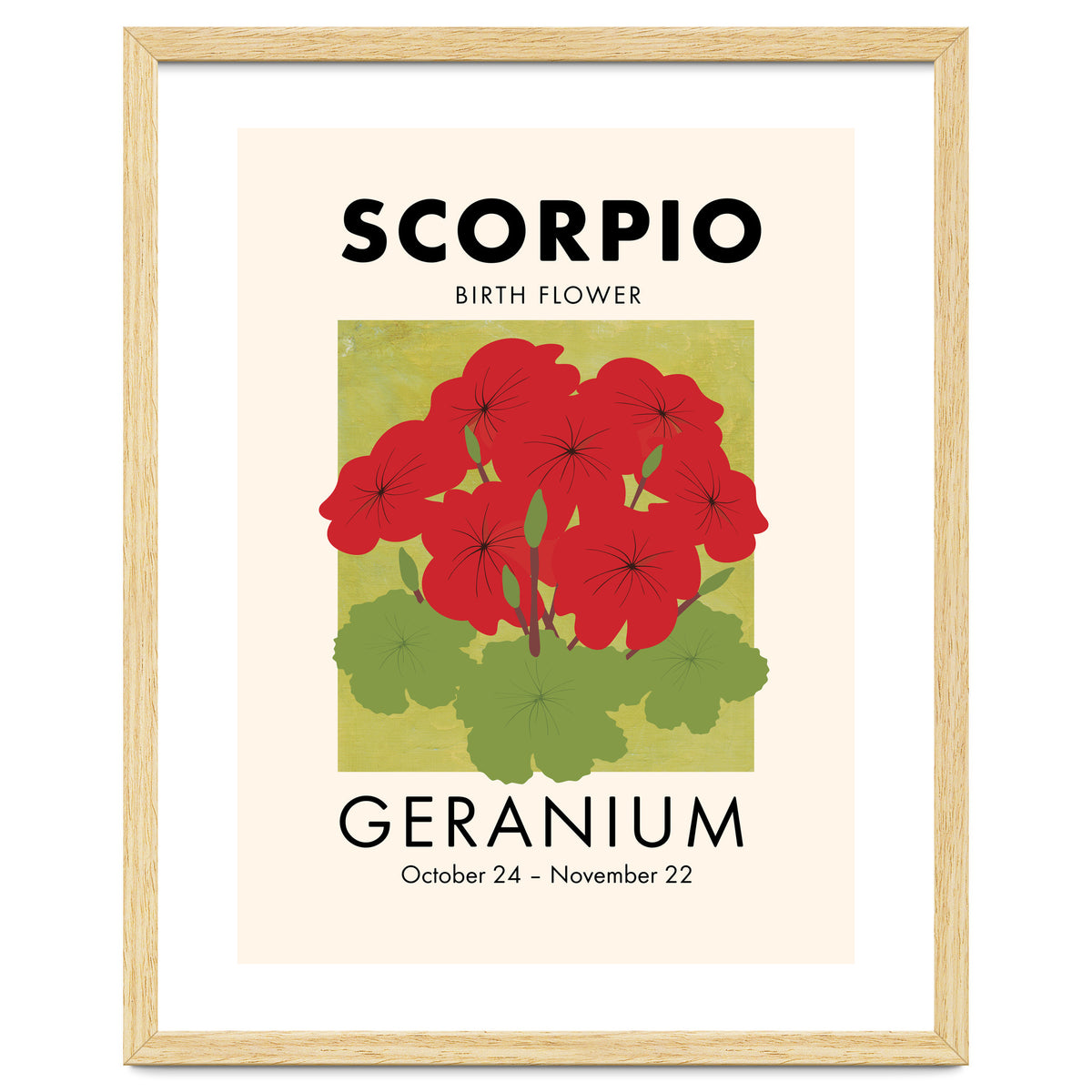 Scorpio Birth Flower Geranium