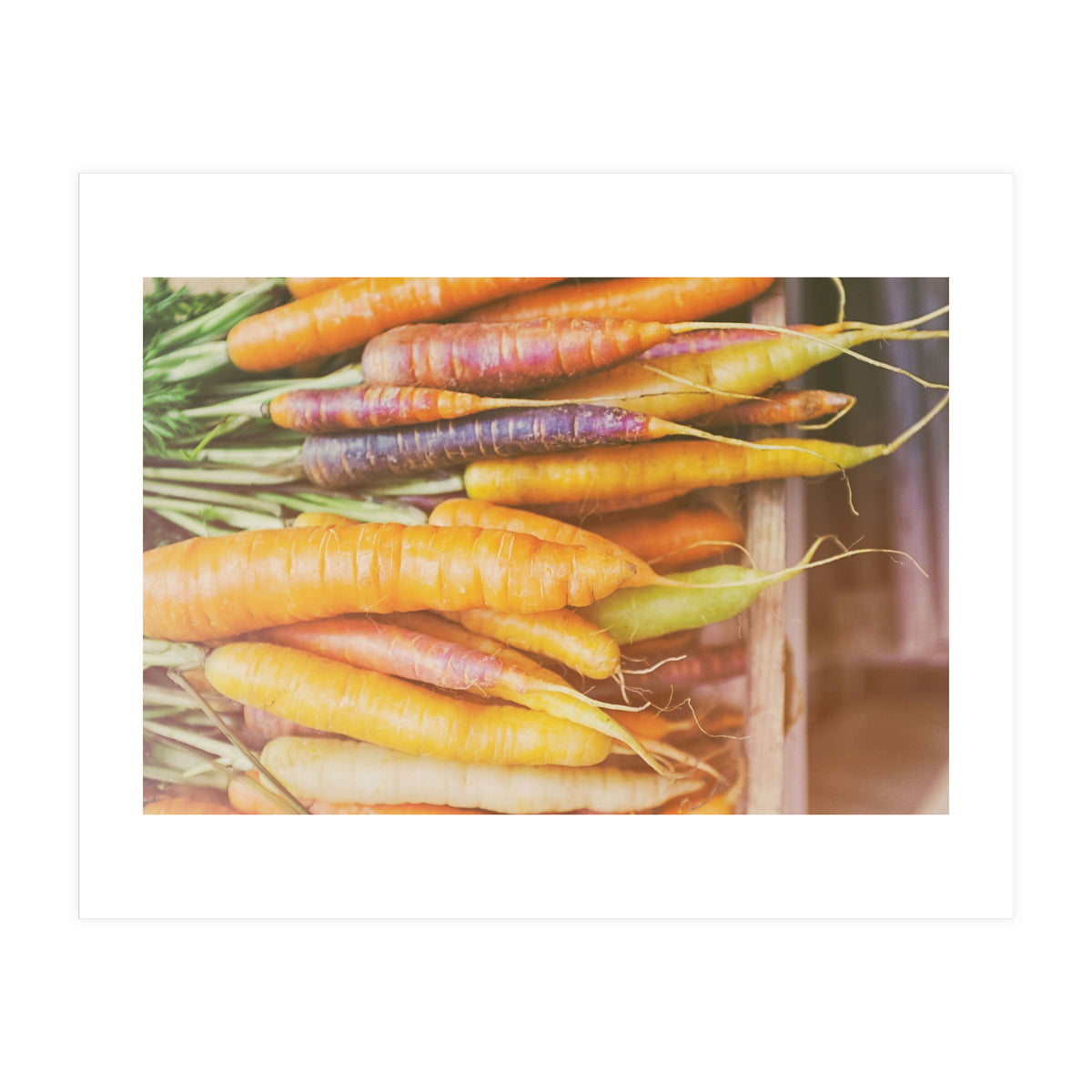 Carrots (Print Only)