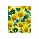 Sunflower (Print Only) thumbnail