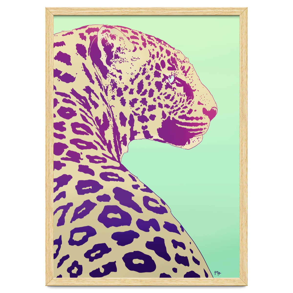 Leopard Under The Sun