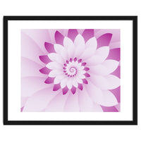 Abstract Pink & White Floral Design