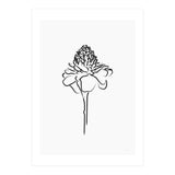 Black Flower (Print Only) thumbnail