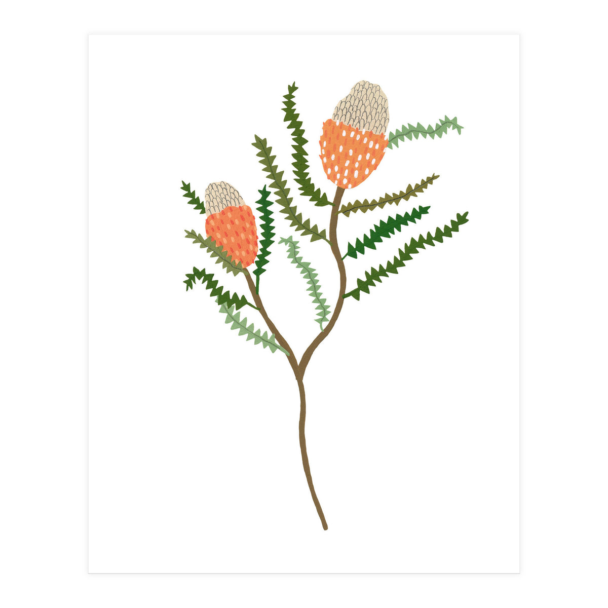 Banksia Flowers (Print Only)