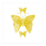 Yellow Butterflies (Print Only) thumbnail