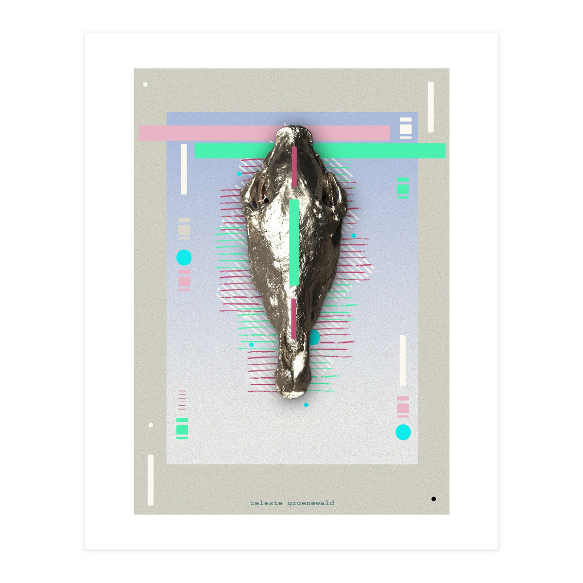 Equus quagga (Print Only)