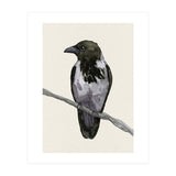 Hooded crow watercolor (Print Only) thumbnail