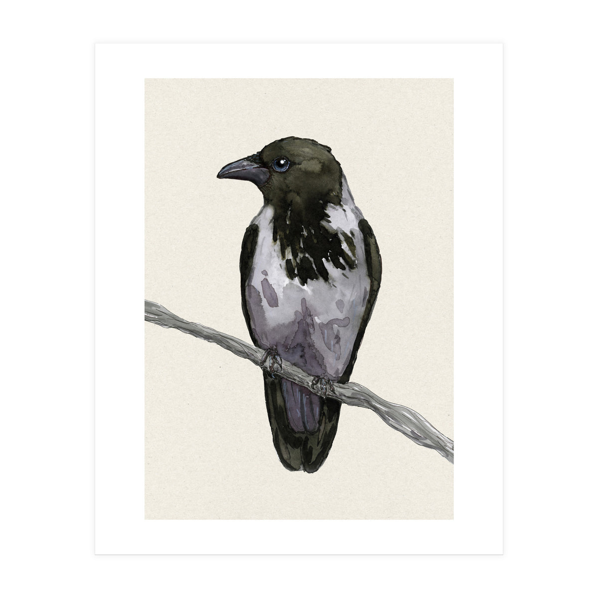 Hooded crow watercolor (Print Only)