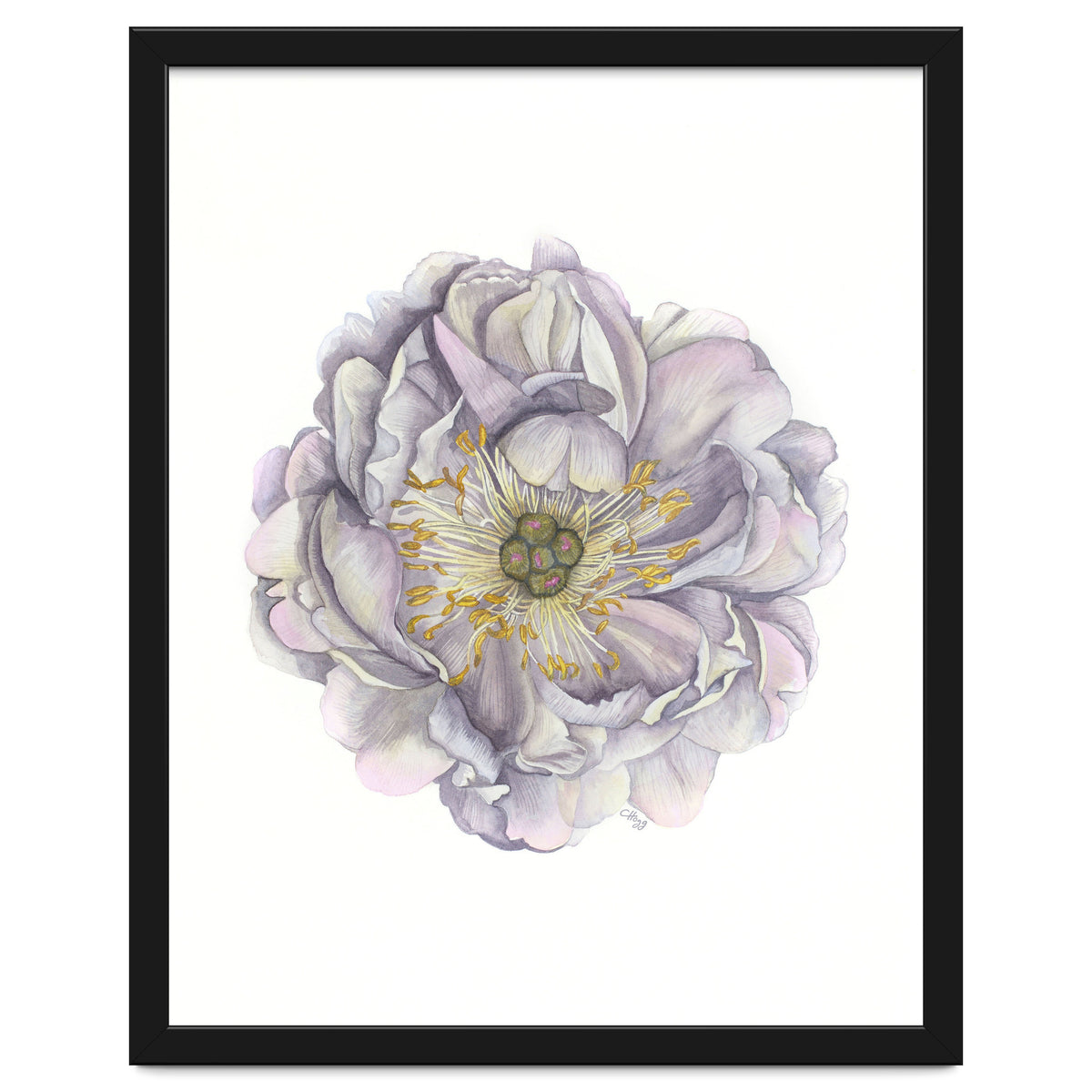 A Peony In Grey Std