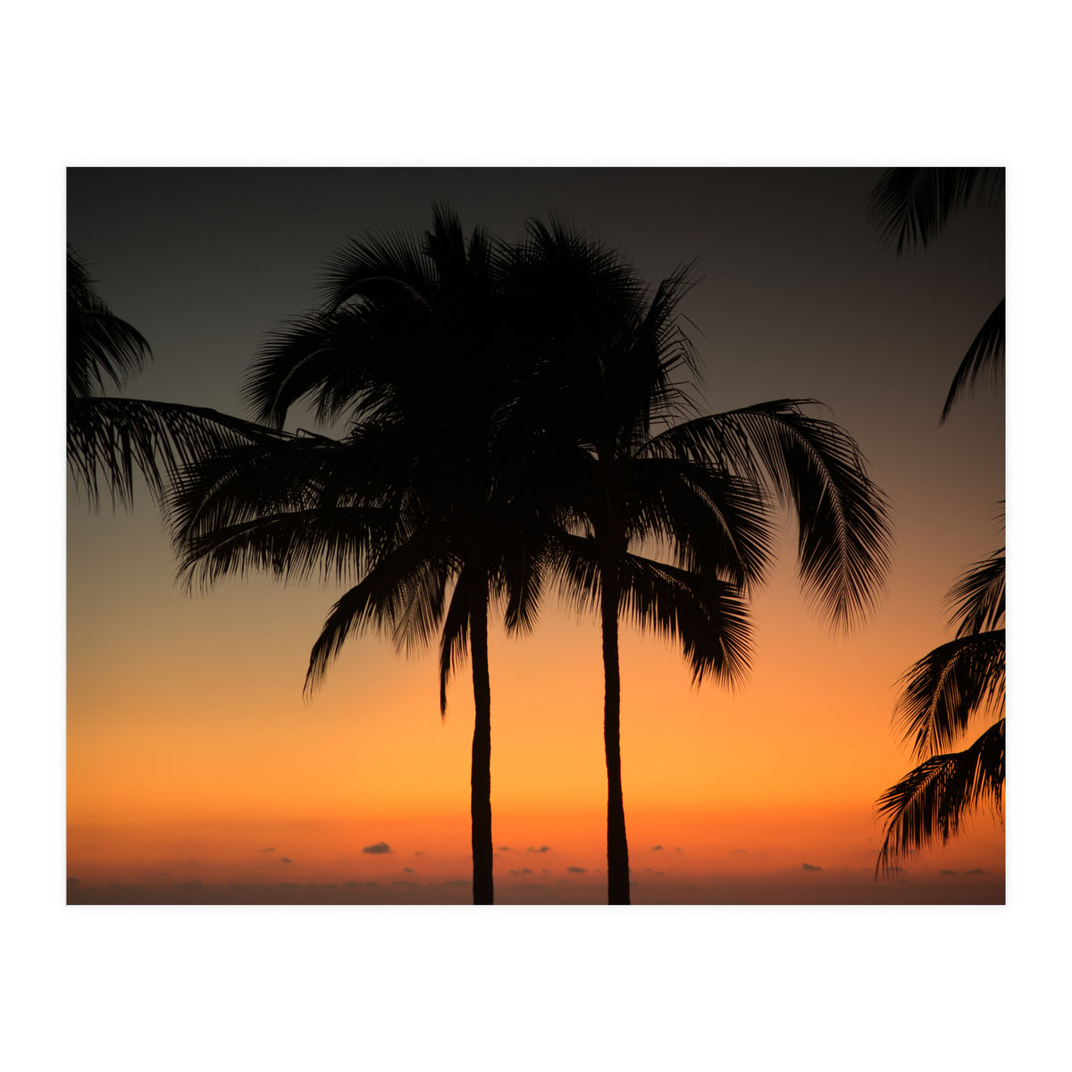 Mexico, November nights (Print Only)