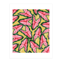 Caladium, Botanical Tropical Nature Plants, Vintage Bohemian Exotic Blush Leaves (Print Only)