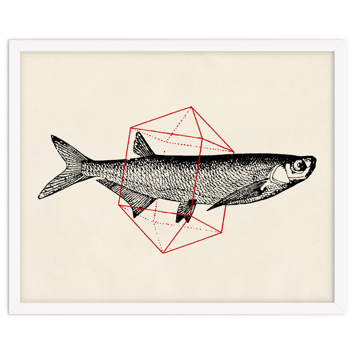Fish In Geometrics II