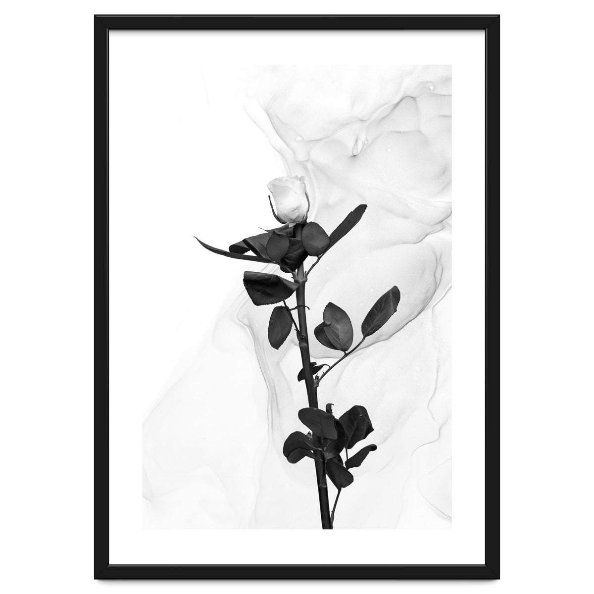 White Rose | Liquid Art