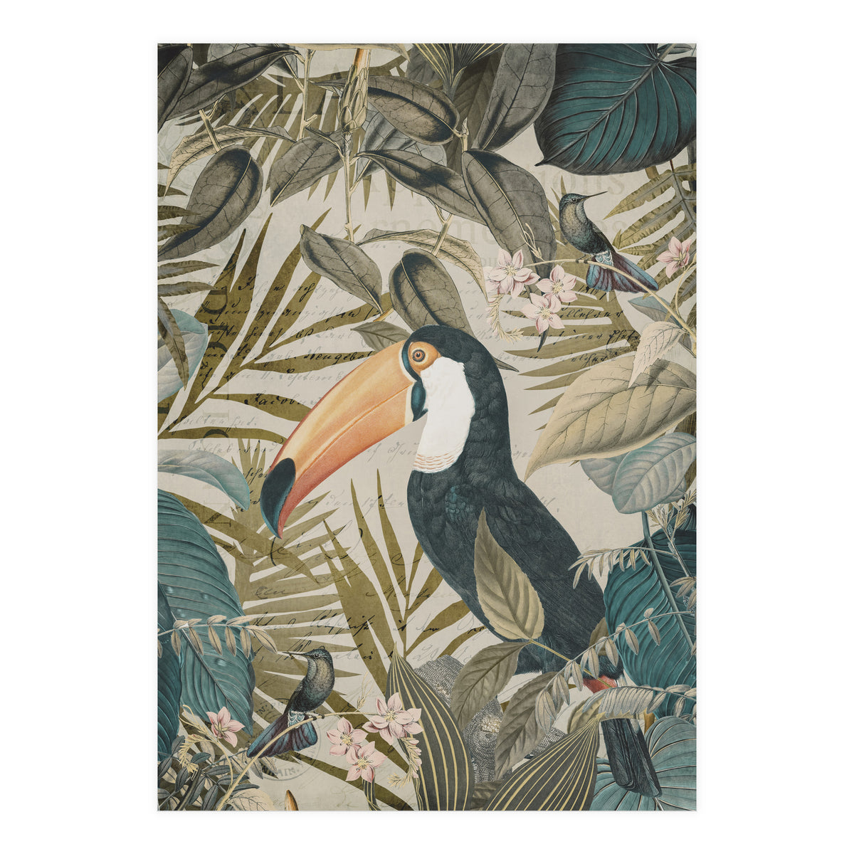 Jungle Toucan (Print Only)
