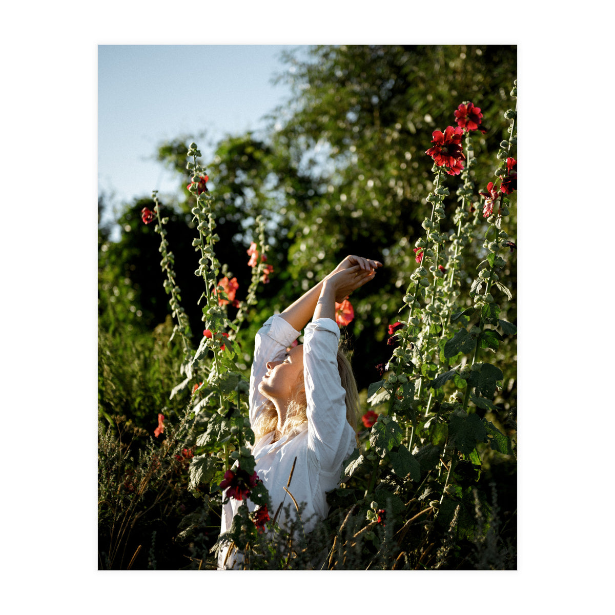 Flowers between Flowers (Print Only)