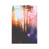 Finding Light (Print Only) thumbnail
