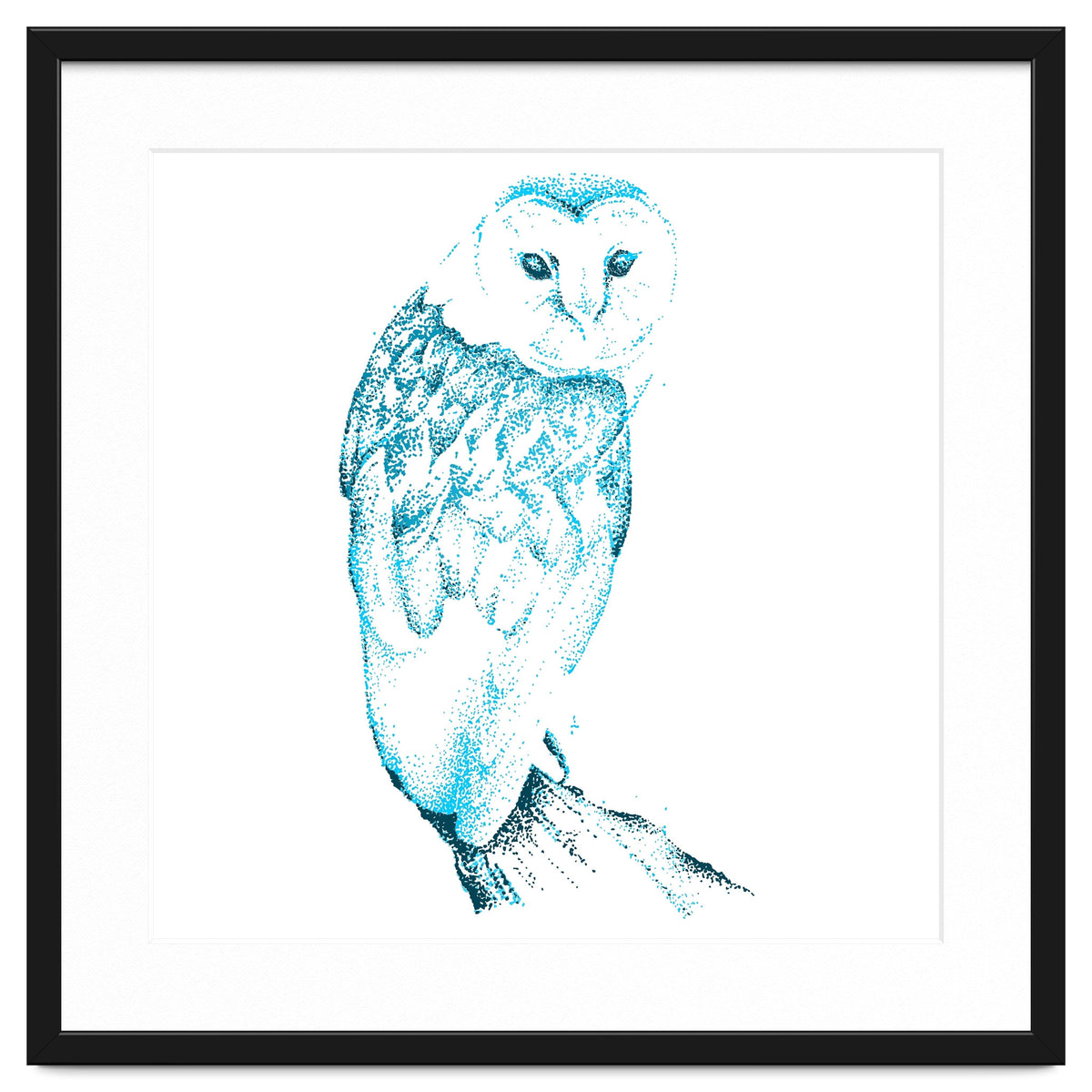 Barn Owl in Teal