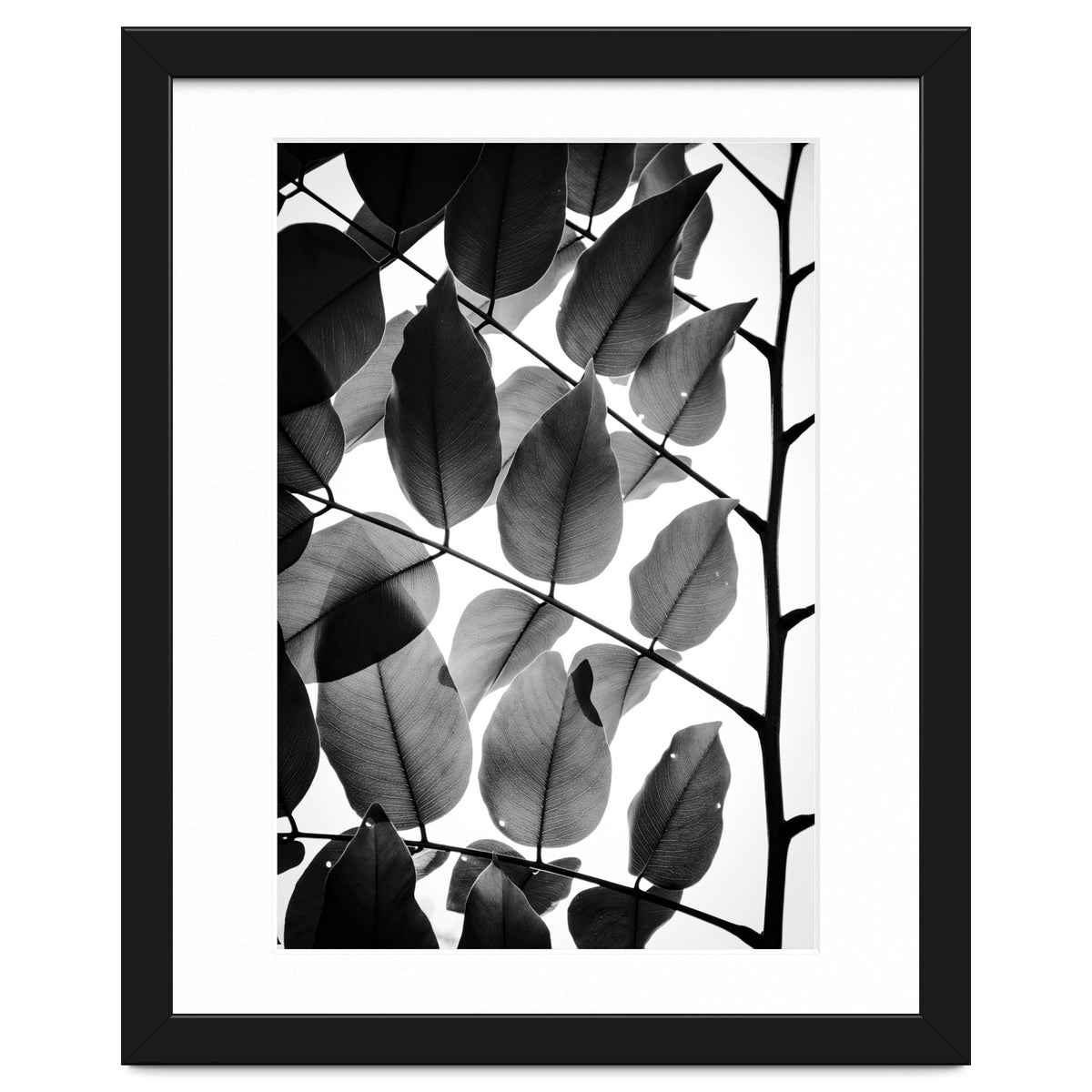 Branches and Leaves II