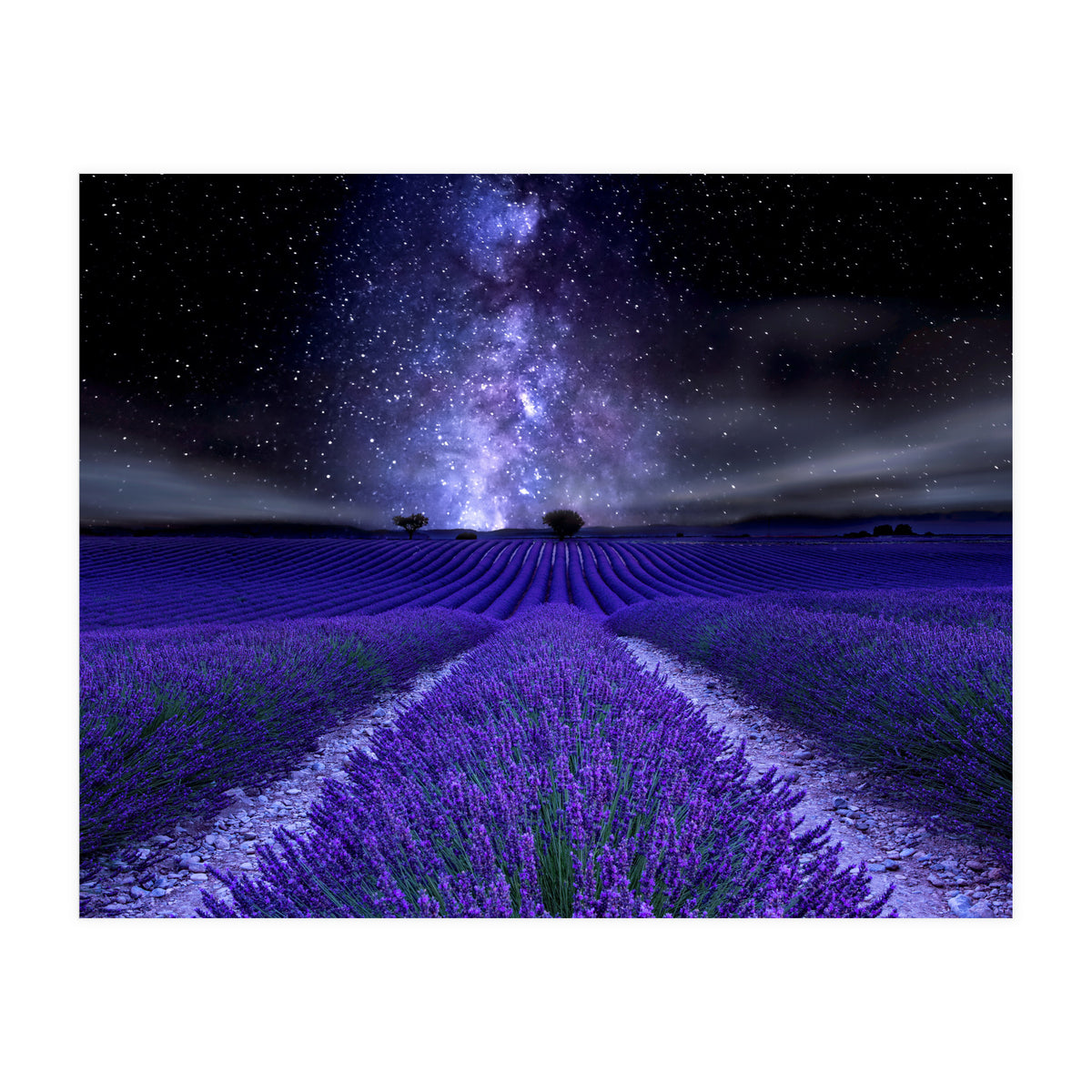 Under The Stars (Print Only)