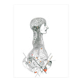 Anatomy (Print Only) thumbnail