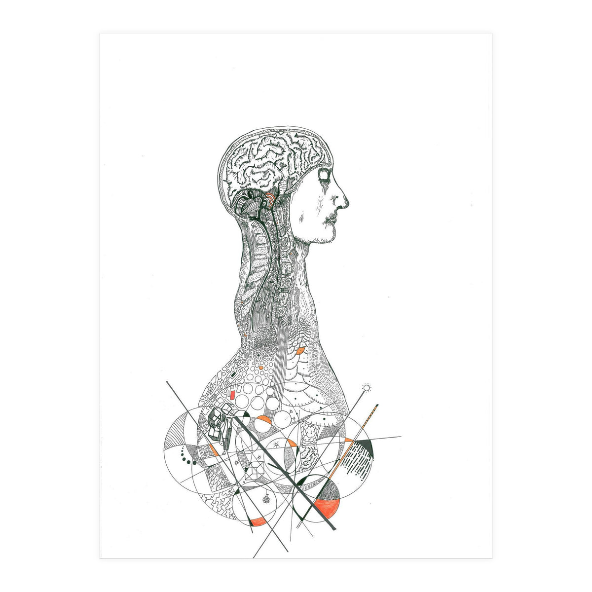 Anatomy (Print Only)