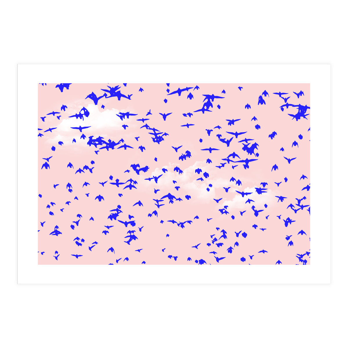 The Right To Fly (Print Only)