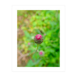 Eye Bud (Print Only) thumbnail