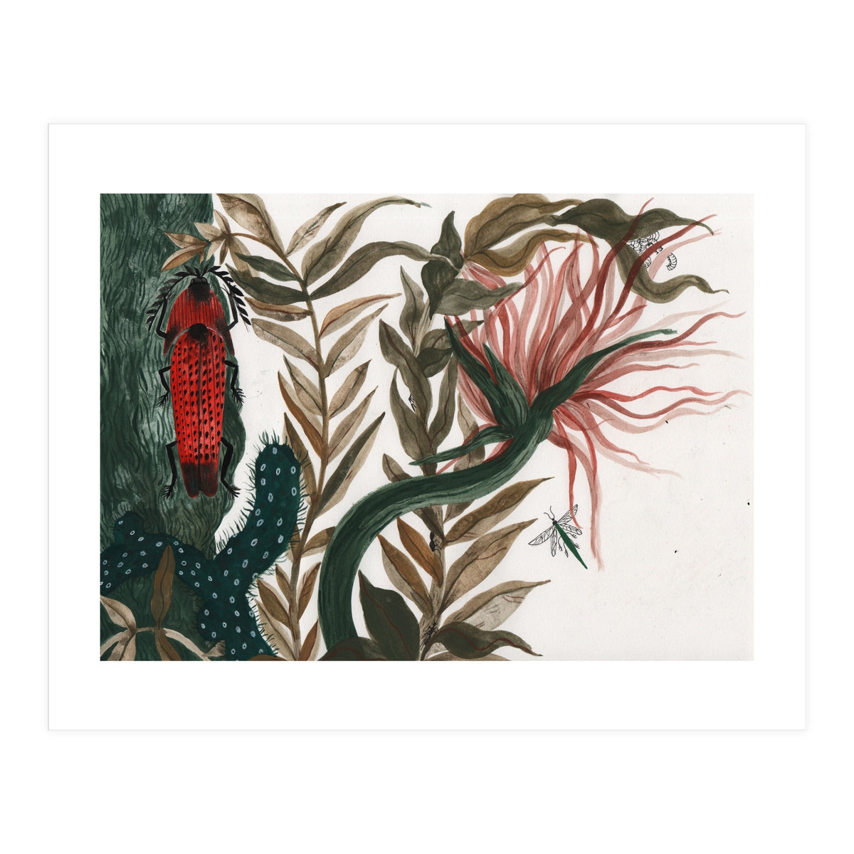 Insects (Print Only)