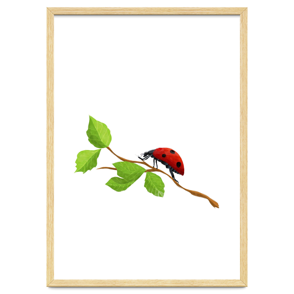 Ladybug