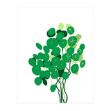 Pilea (Print Only) thumbnail
