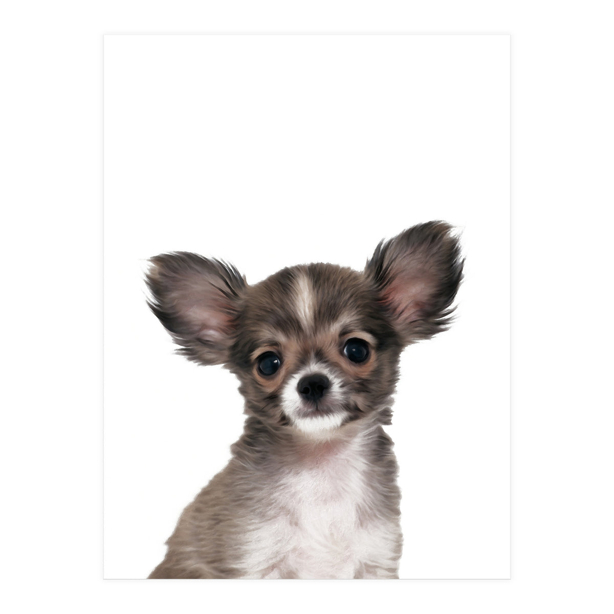 Chihuahua (Print Only)