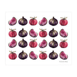 Apple & Figs (Print Only) thumbnail