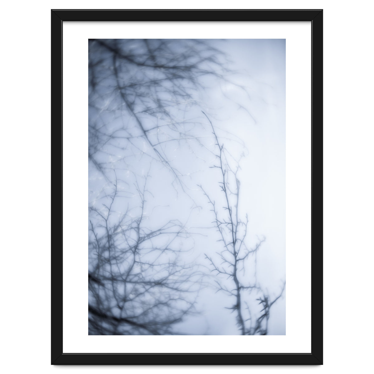 Forgotten Memories of Summer #21