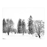 Norwegian Winter (Print Only) thumbnail