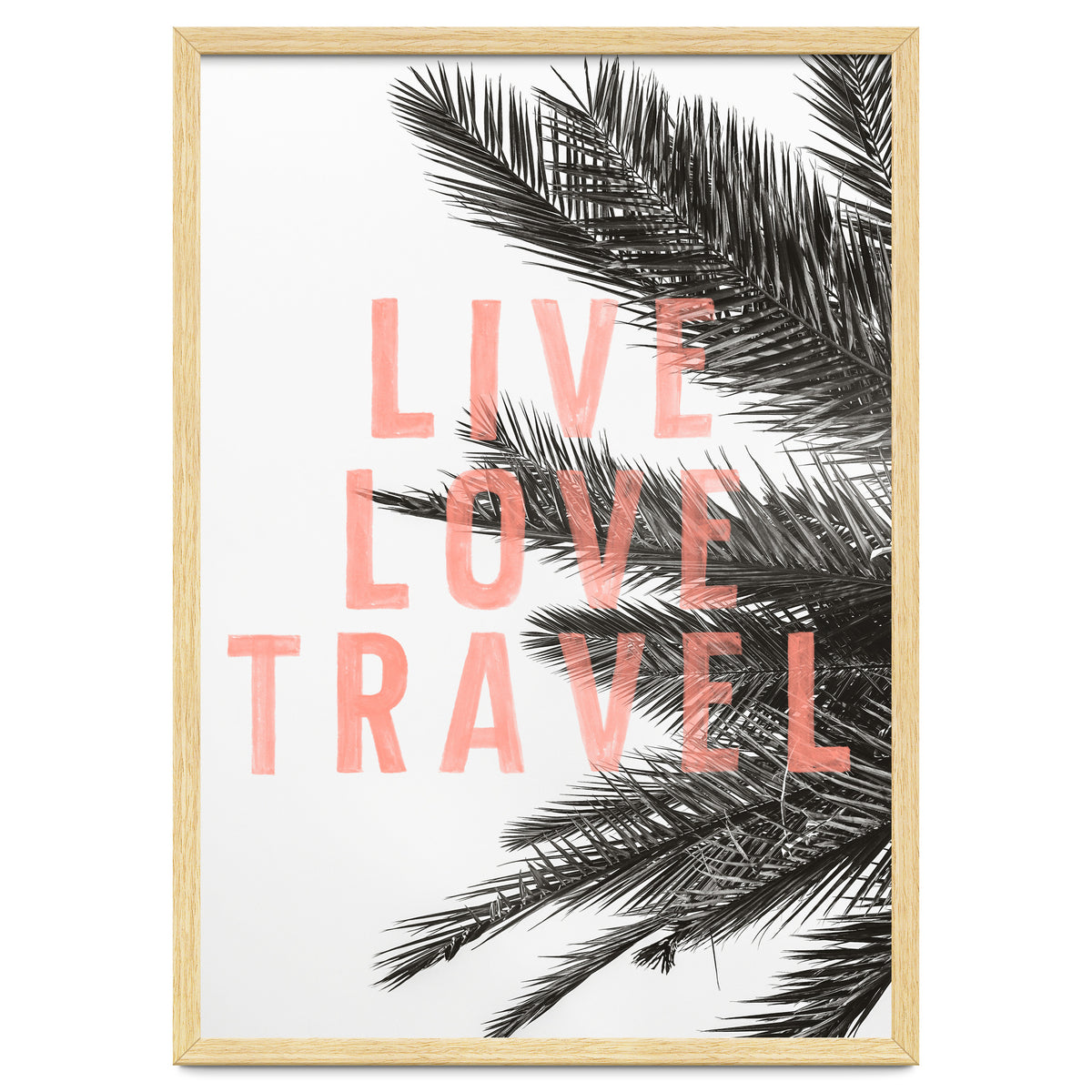 Live Love Travel